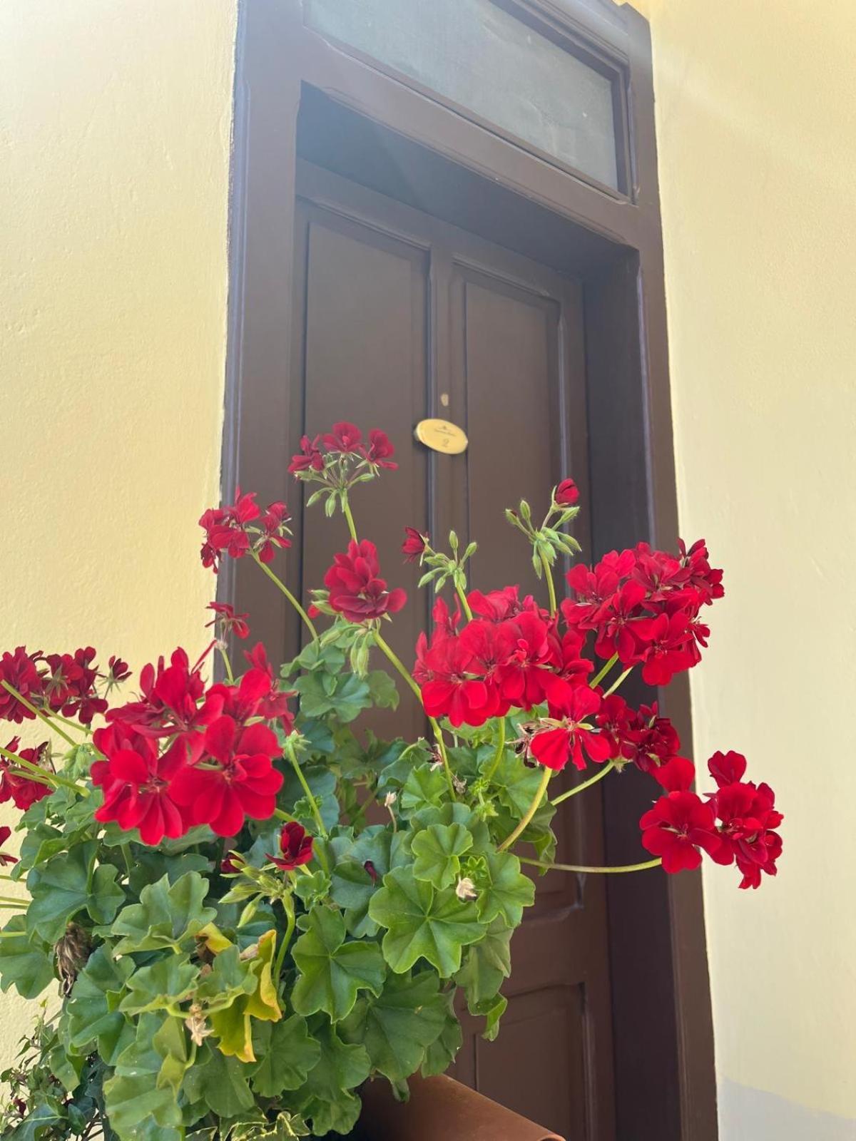 Depandance Eleonora Oristano Exterior foto